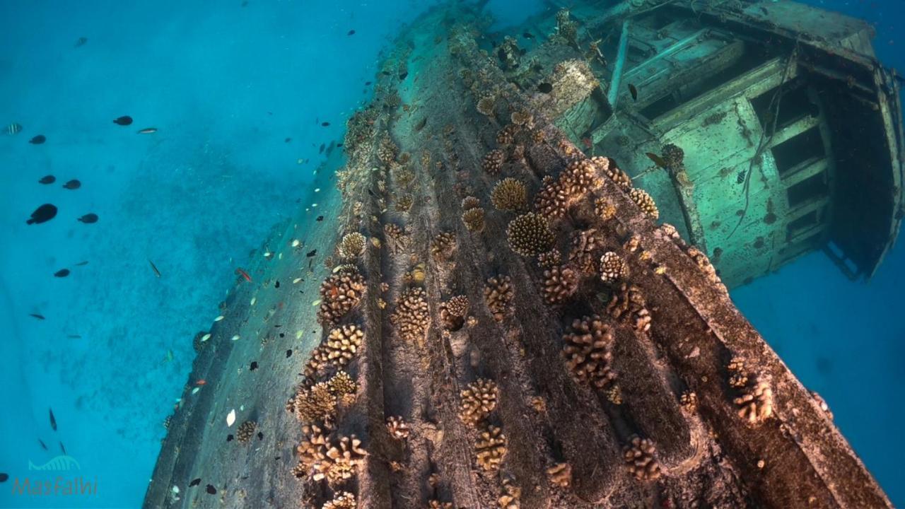 نزل Masfalhi View فيليدهو المظهر الخارجي الصورة
