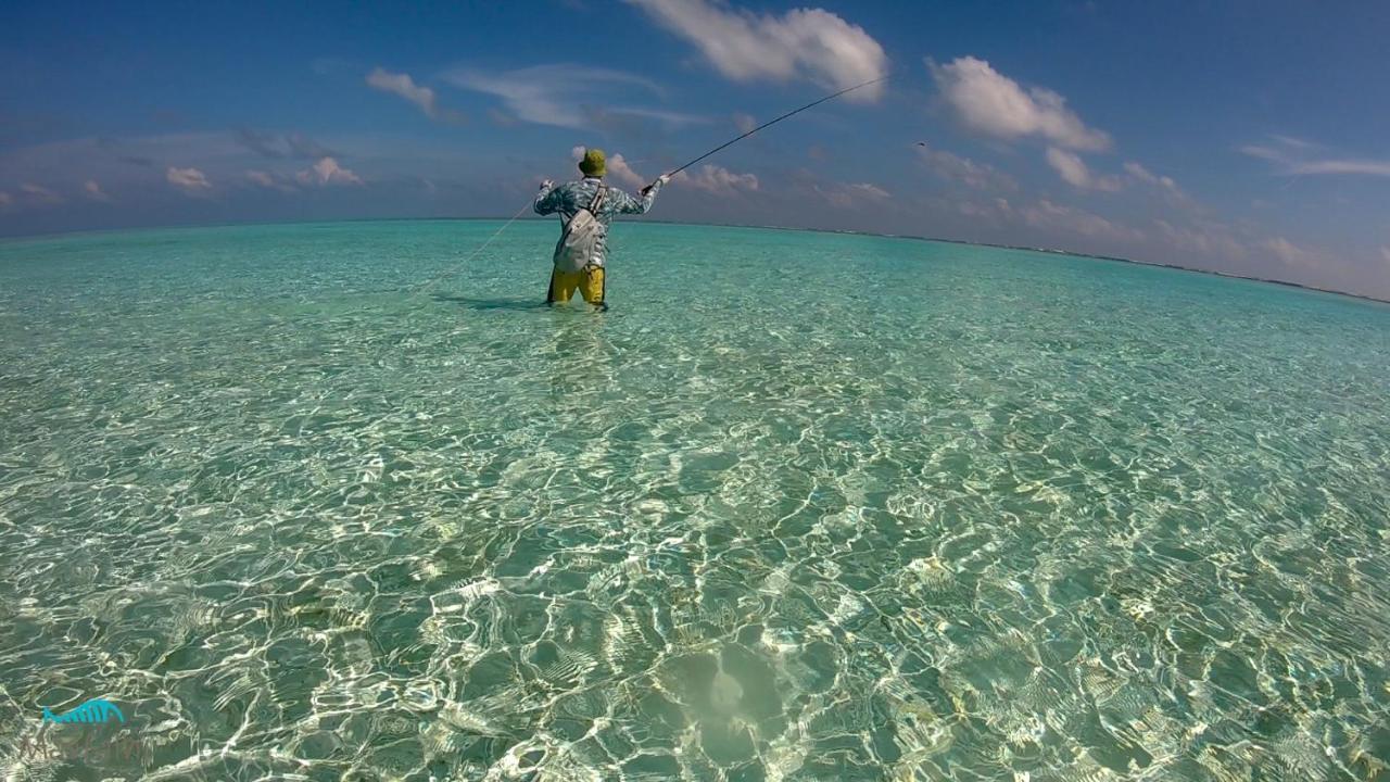 نزل Masfalhi View فيليدهو المظهر الخارجي الصورة